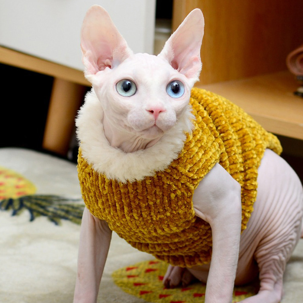 고양이 스핑크스 겨울옷 부드러운 니트