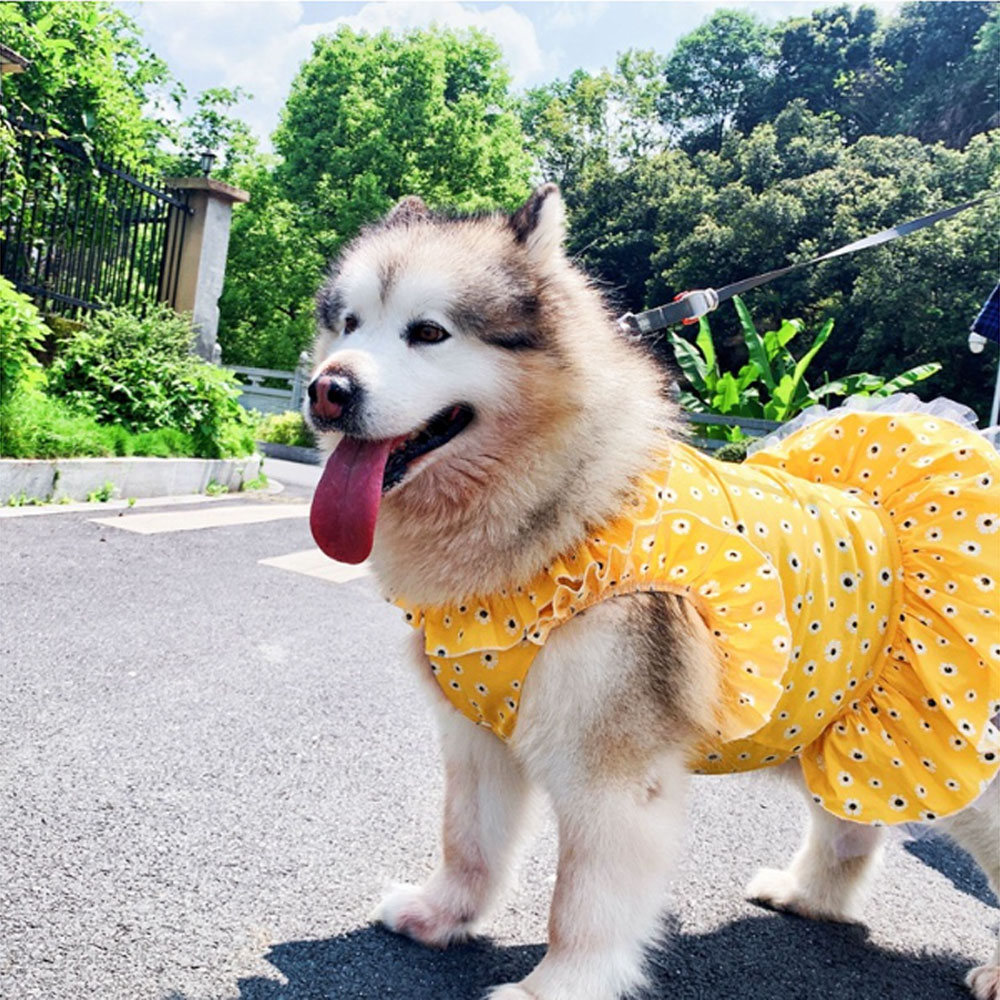 강아지 여름옷 꽃무늬 원피스